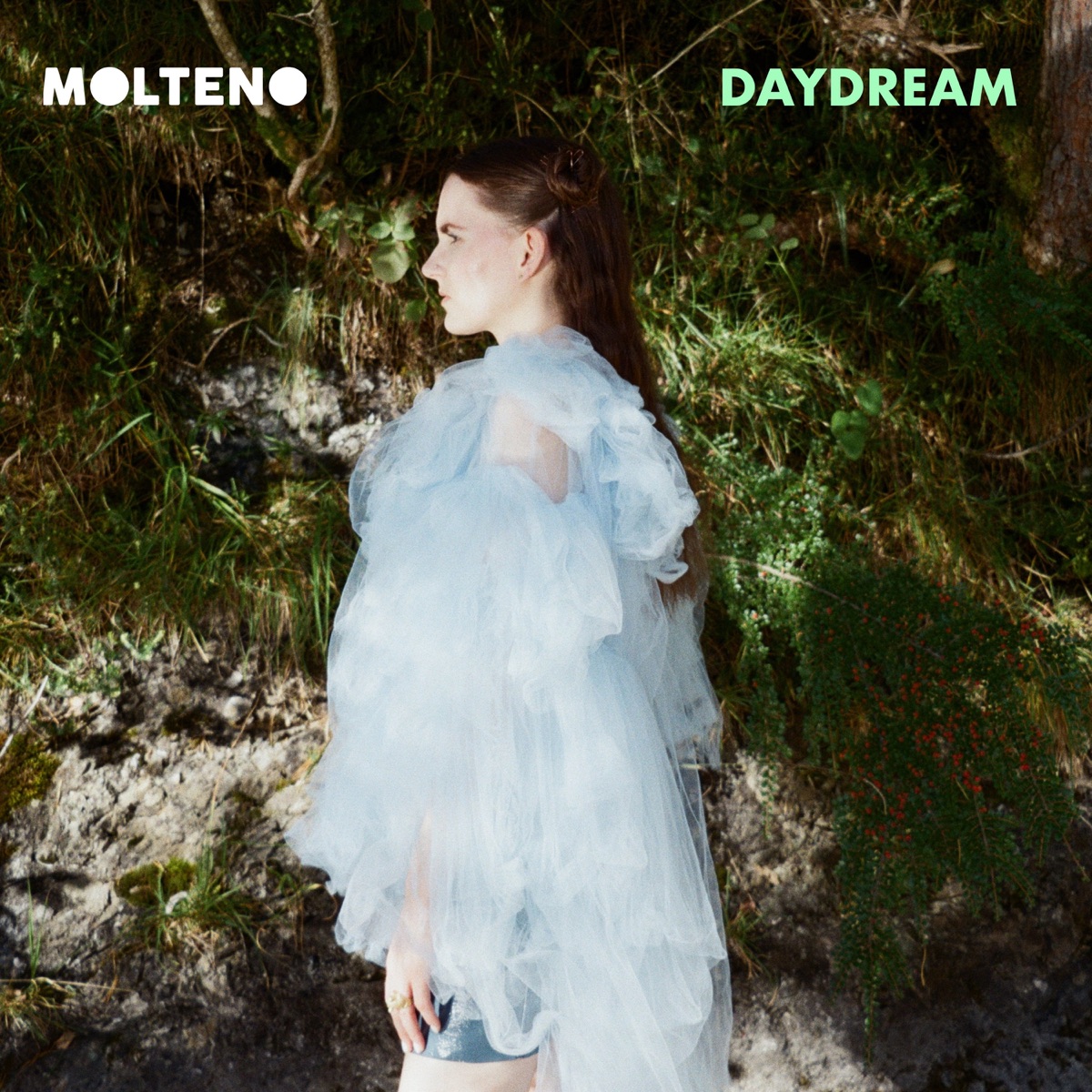 Daydream artwork: MOLTENO in pale blue tulle in profile against a green bank.