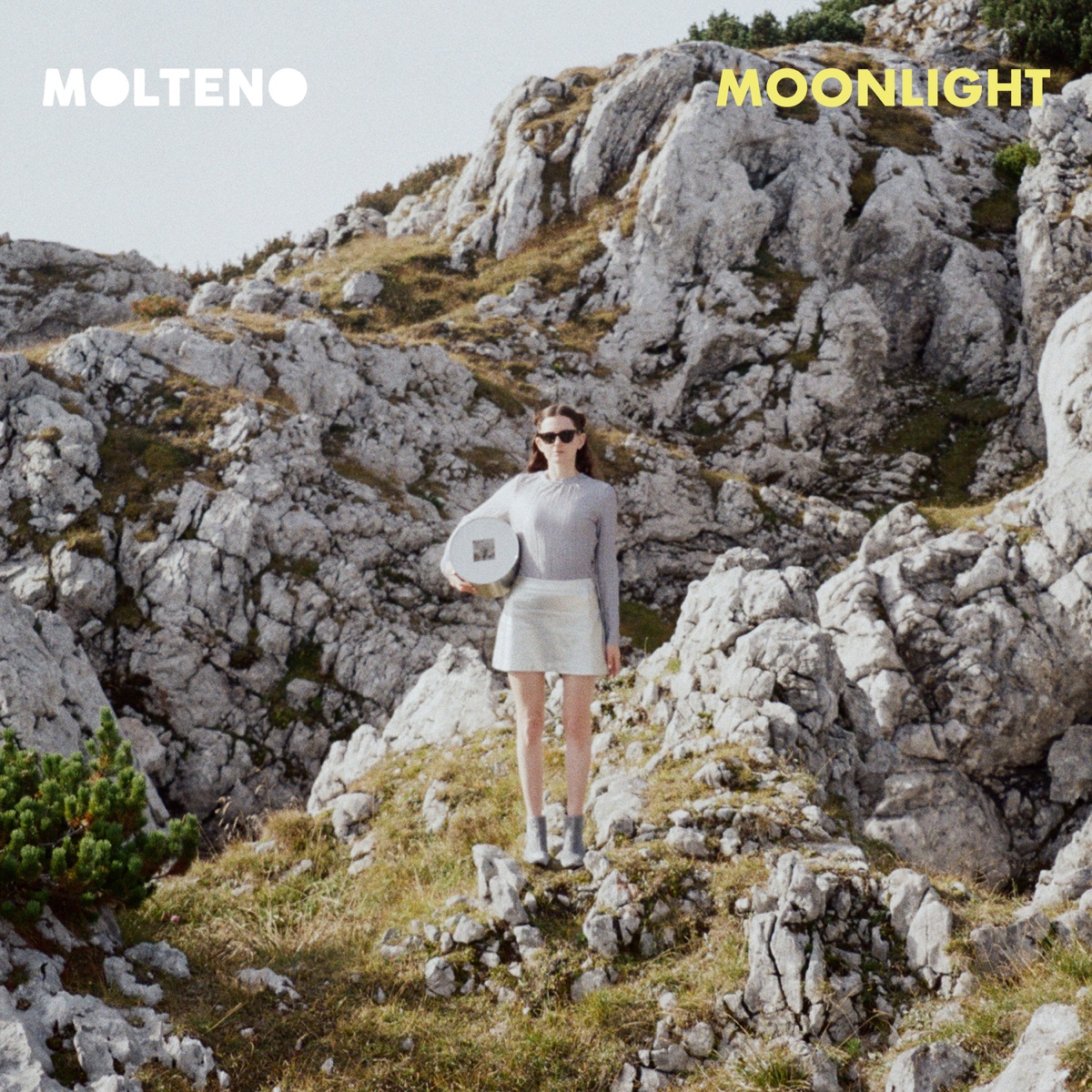 Moonlight artwork.