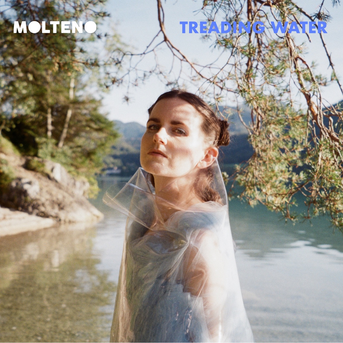 Treading Water artwork: MOLTENO in a lake, wrapped in clear plastic, under pine branches.
